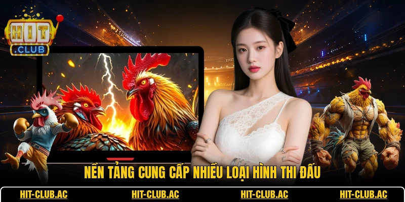 Nền tảng cung cấp nhiều loại hình thi đấu