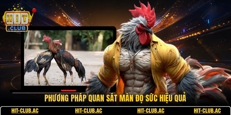 E2bet Đá Gà - Theo Dõi Các Trận Đấu Kịch Tính Hiện Nay 3 Phương pháp quan sát màn đọ sức hiệu quả