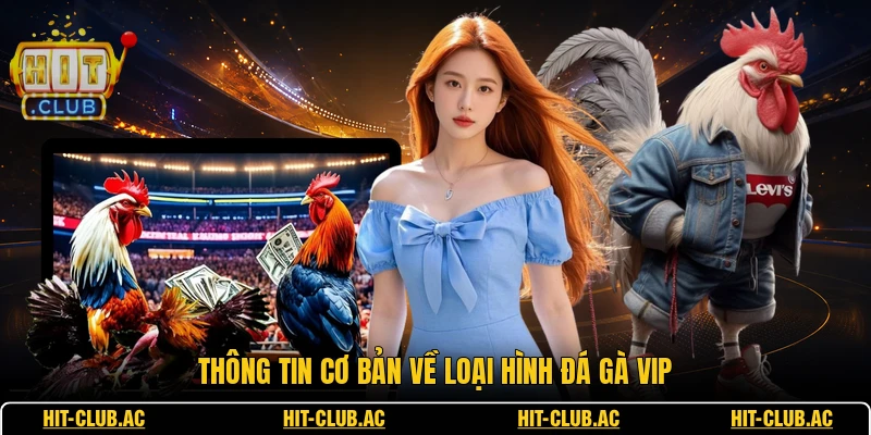 Thông tin cơ bản về loại hình đá gà VIP