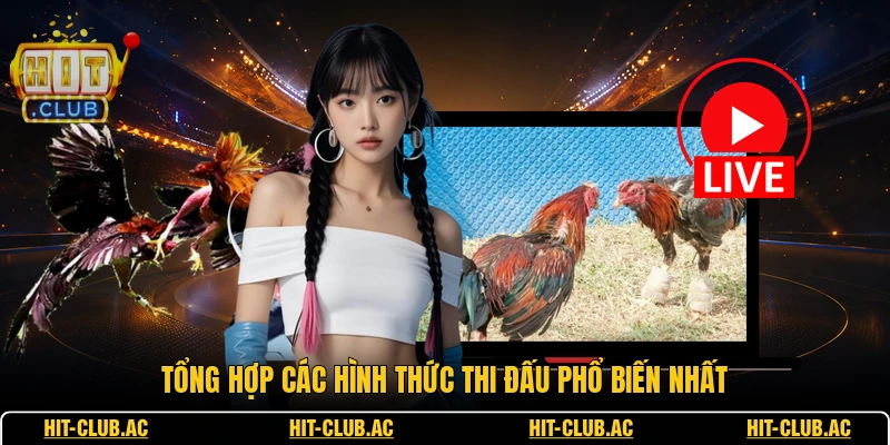 Tổng hợp các hình thức thi đấu phổ biến nhất